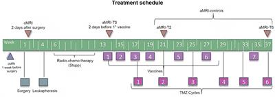 Response assessment of GBM during immunotherapy by delayed contrast treatment response assessment maps